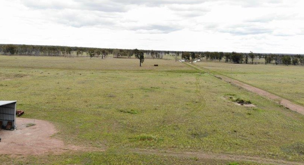 2461 Acres Cattle Grazing , Tara, QLD, 4421 - Image 3