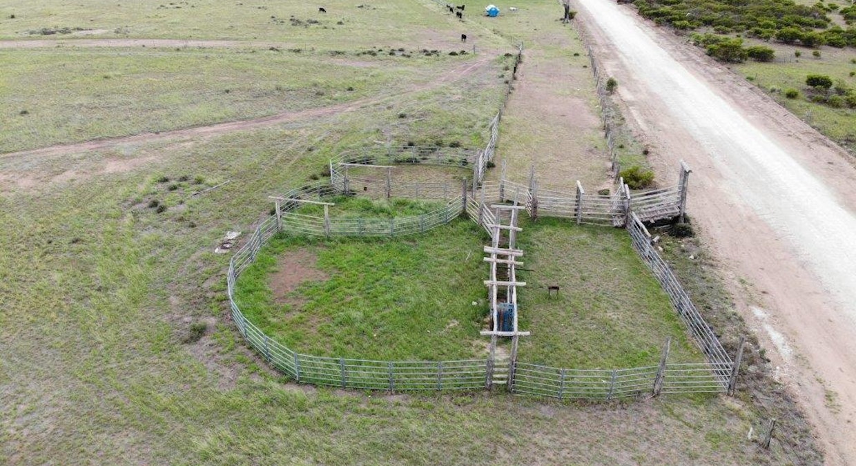 2461 Acres Cattle Grazing , Tara, QLD, 4421 - Image 4