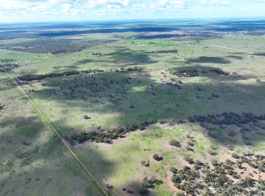 Warrabone Merri Merri Road, Carinda, NSW, 2831 - Image 3