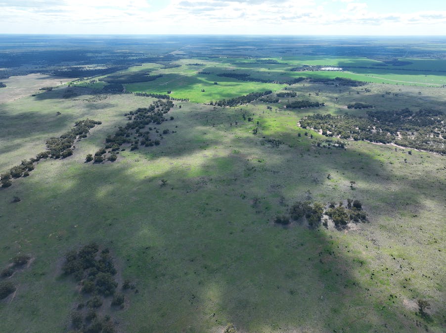 Warrabone Merri Merri Road, Carinda, NSW, 2831 - Image 4