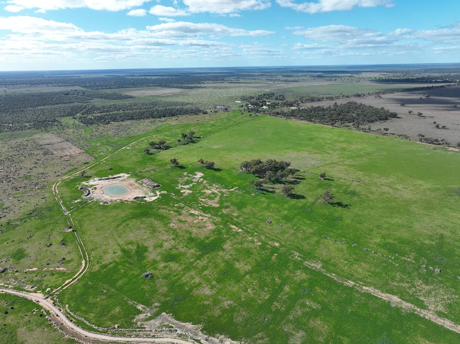 Warrabone Merri Merri Road, Carinda, NSW, 2831 - Image 6