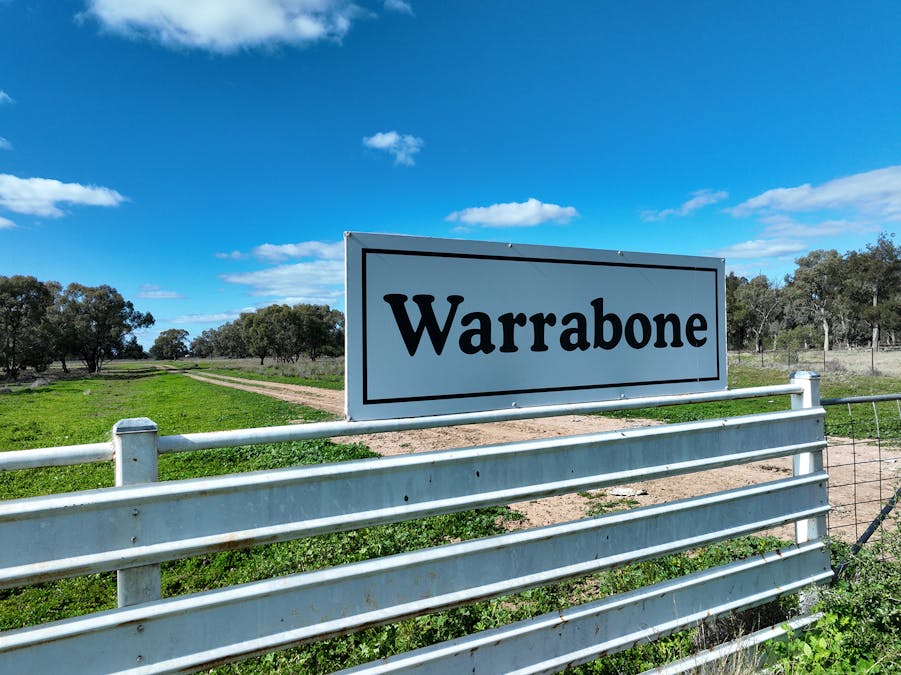 Warrabone Merri Merri Road, Carinda, NSW, 2831 - Image 25