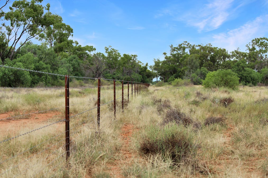 Warrabone Merri Merri Road, Carinda, NSW, 2831 - Image 18