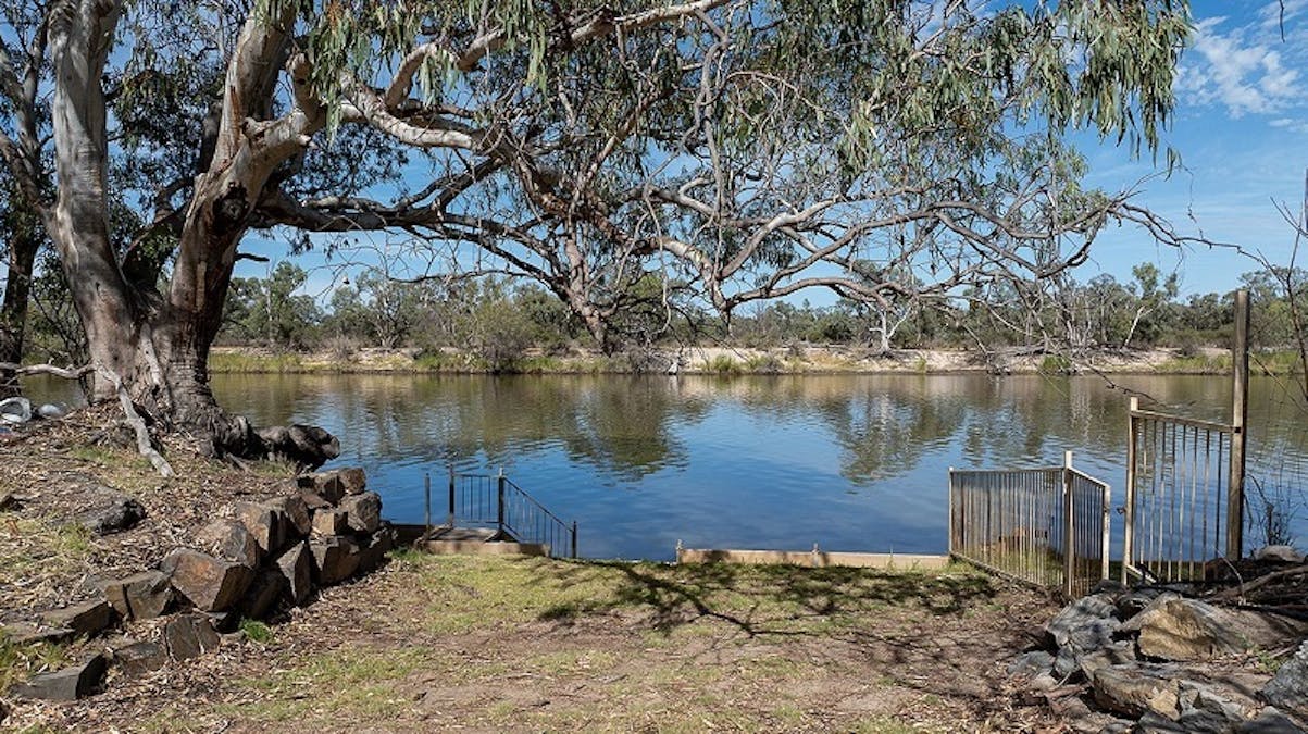 Lot 187 Scotts Creek Shack Road, Morgan, SA, 5320 - Image 8