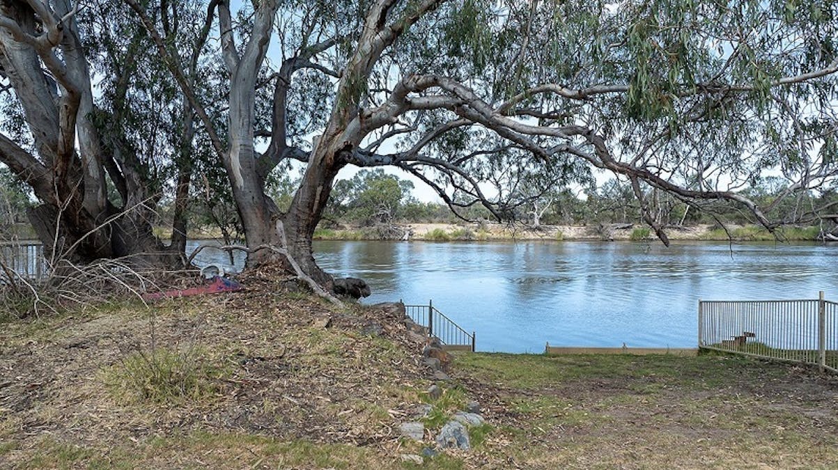 Lot 187 Scotts Creek Shack Road, Morgan, SA, 5320 - Image 13
