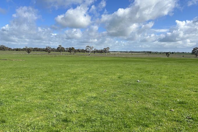 . Moneculla Road, Patyah, VIC, 3318 - Image 1