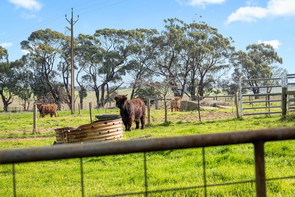 33 Peweena Road, Mil Lel, SA, 5291 - Image 15
