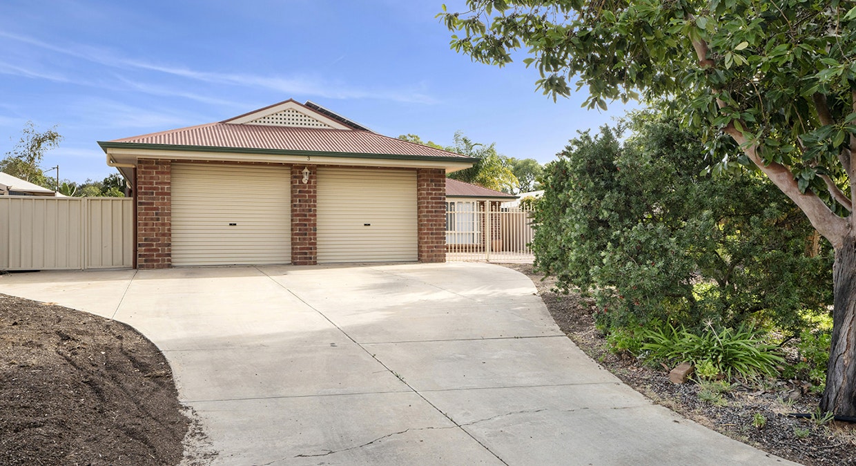3 Anabranch Place, Renmark, SA, 5341 - Image 7