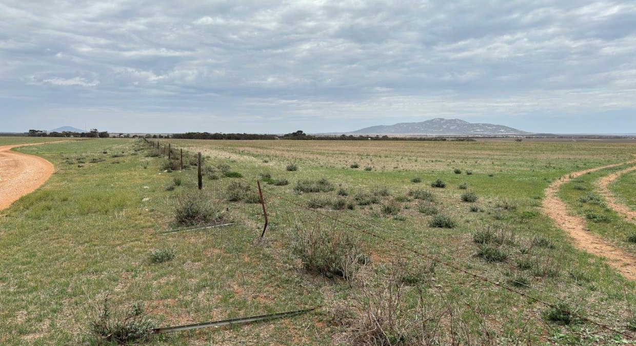 74 Humphries Road, Darke Peak, SA, 5642 - Image 4
