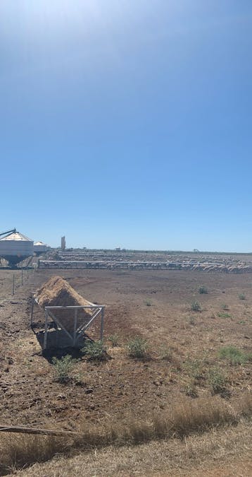 25533 Sturt Highway, Hay, NSW, 2711 - Image 24