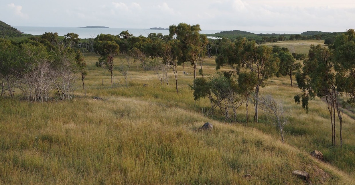 Quail Island , Stanage, QLD, 4702 - Image 14