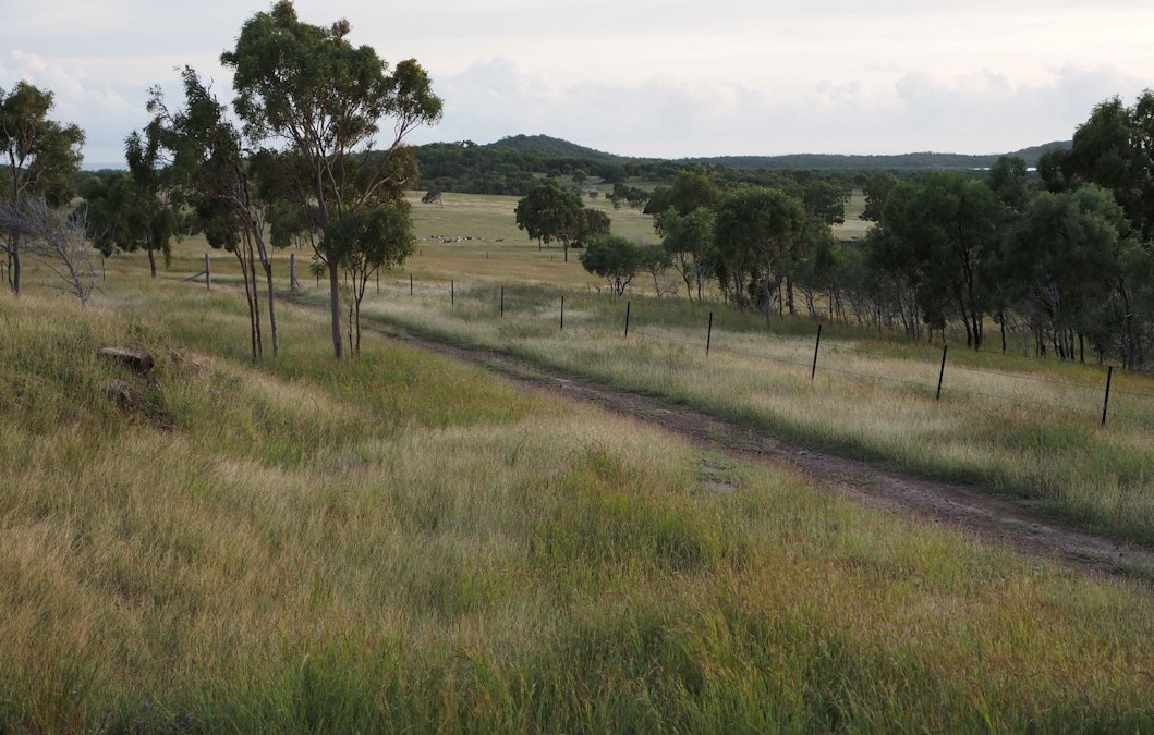 Quail Island , Stanage, QLD, 4702 - Image 19