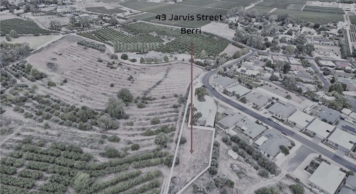 43 Jarvis Street, Berri, SA, 5343 - Image 1