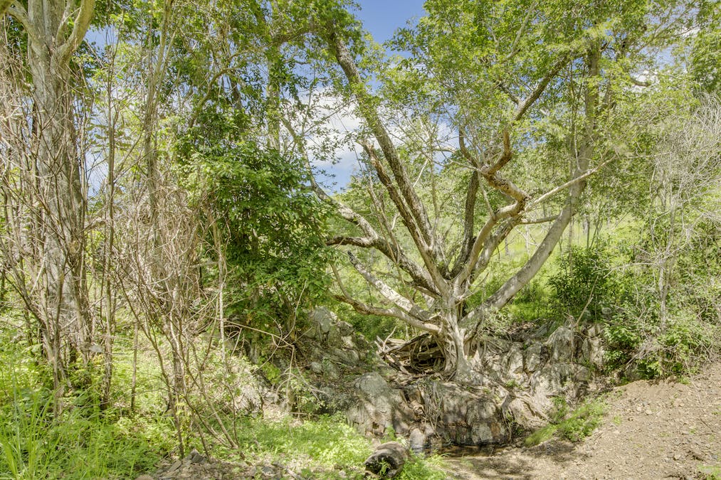 3715 Tableland Road, Diglum, QLD, 4680 - Image 26