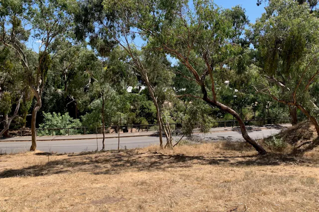 Hanlins Road — photo from Elders Real Estate Clare Valley and Balaklava