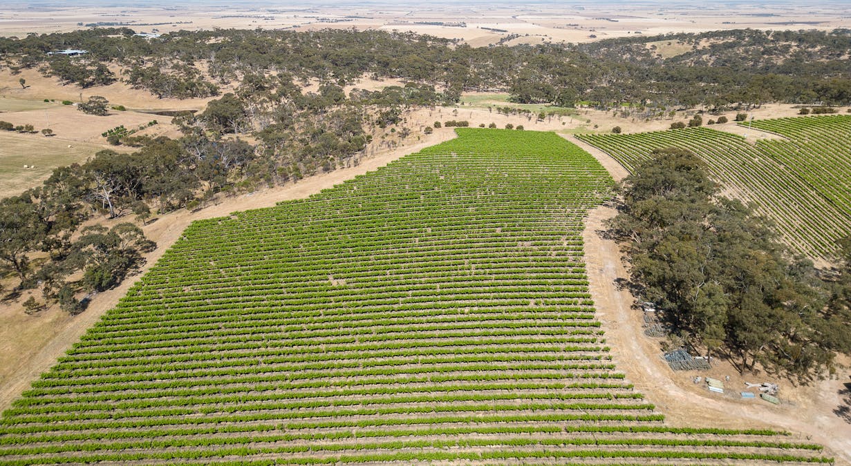 659A Spring Gully Road, Clare, SA, 5453 - Image 9