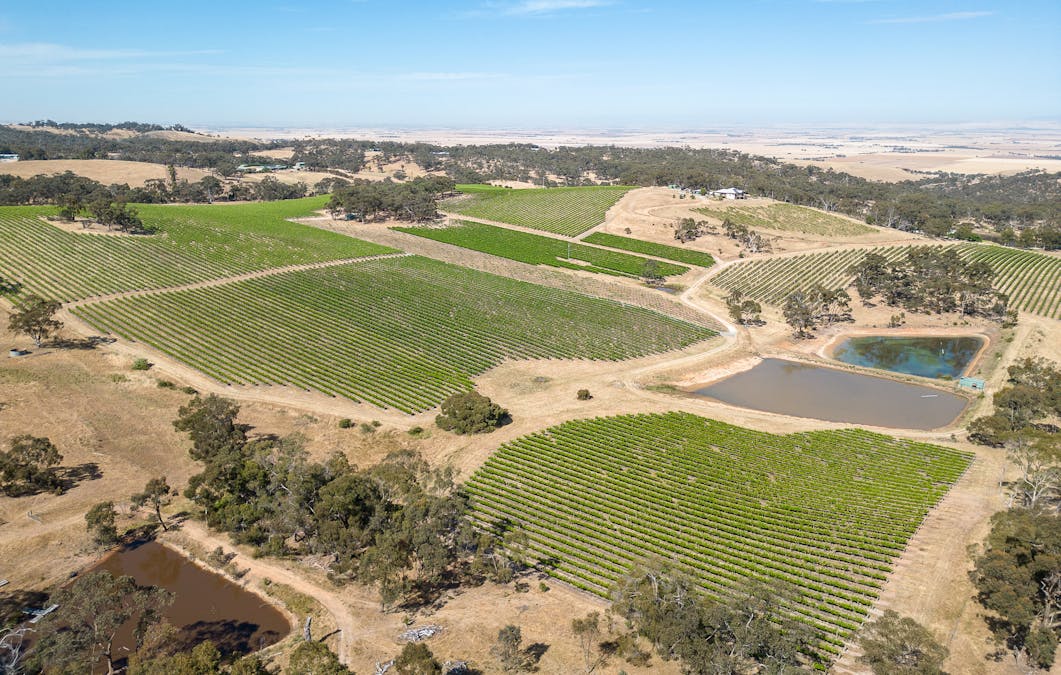 659A Spring Gully Road, Clare, SA, 5453 - Image 10