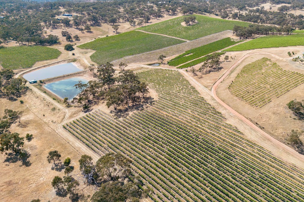 659A Spring Gully Road, Clare, SA, 5453 - Image 13