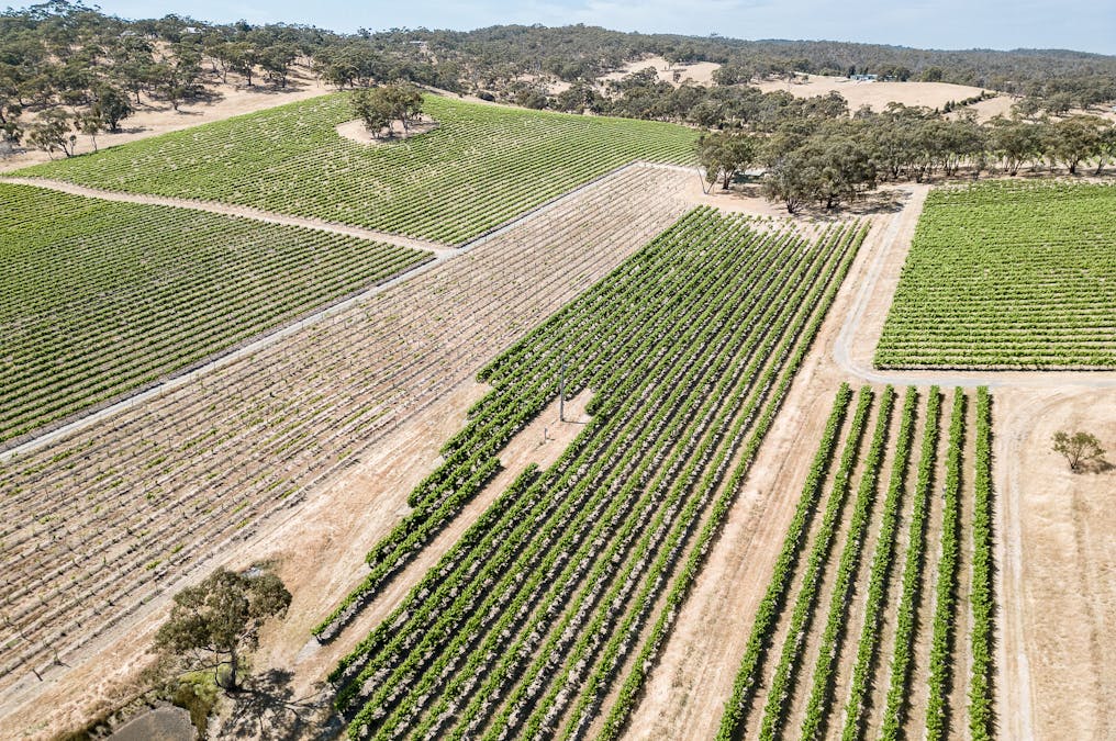 659A Spring Gully Road, Clare, SA, 5453 - Image 14
