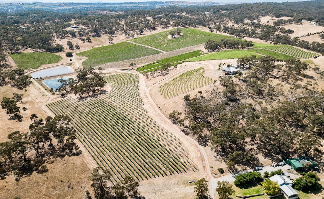659A Spring Gully Road, Clare, SA, 5453 - Image 15