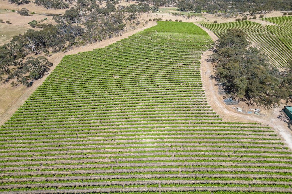 659A Spring Gully Road, Clare, SA, 5453 - Image 17