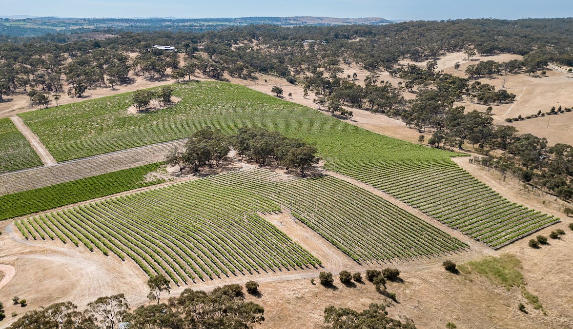 659A Spring Gully Road, Clare, SA, 5453 - Image 19