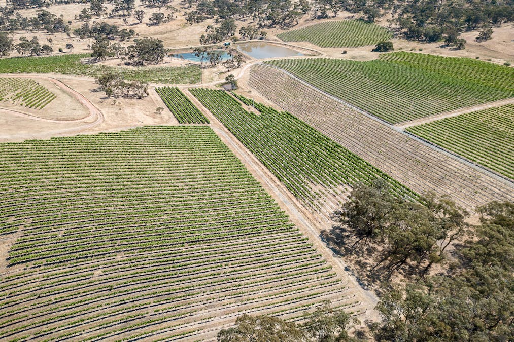 659A Spring Gully Road, Clare, SA, 5453 - Image 20