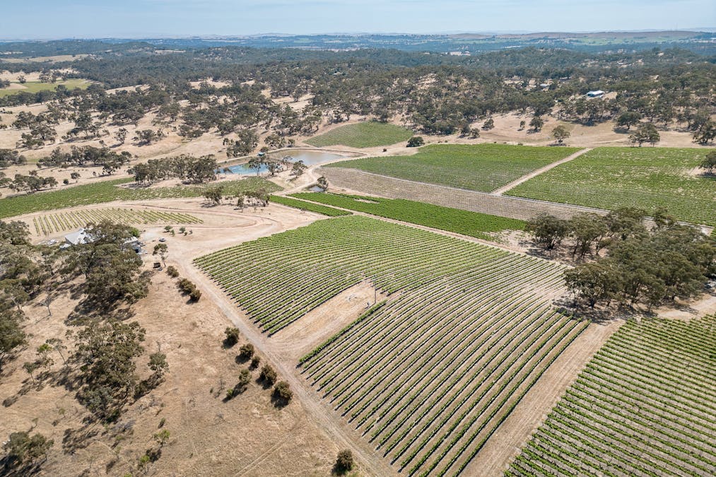 659A Spring Gully Road, Clare, SA, 5453 - Image 21