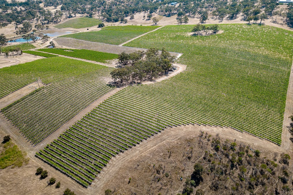 659A Spring Gully Road, Clare, SA, 5453 - Image 22