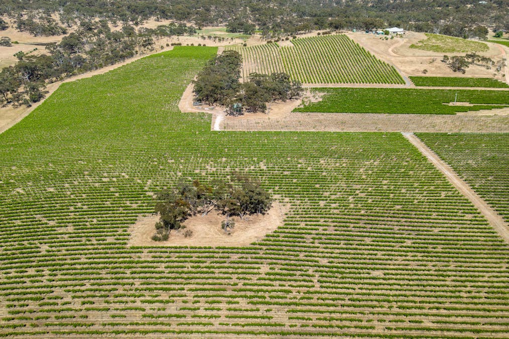 659A Spring Gully Road, Clare, SA, 5453 - Image 23