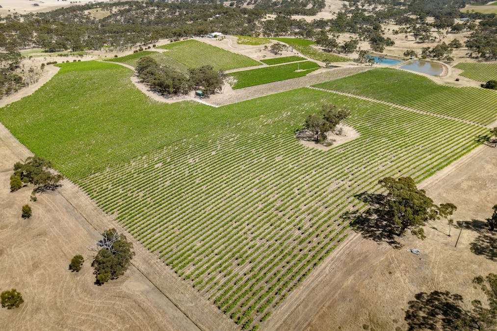 659A Spring Gully Road, Clare, SA, 5453 - Image 27