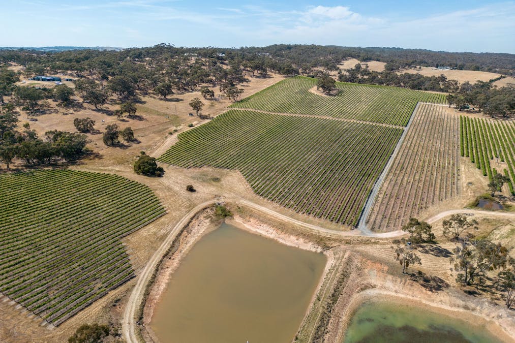 659A Spring Gully Road, Clare, SA, 5453 - Image 28