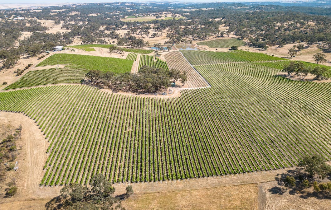 659A Spring Gully Road, Clare, SA, 5453 - Image 6