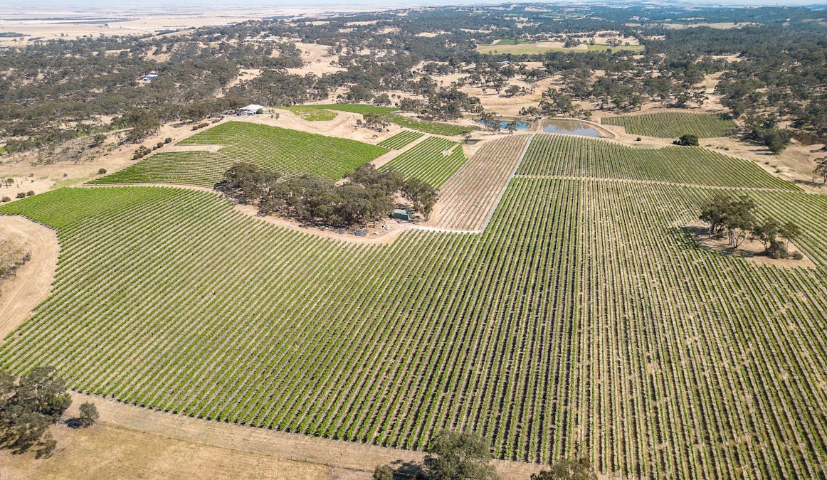 659A Spring Gully Road, Clare, SA, 5453 - Image 7