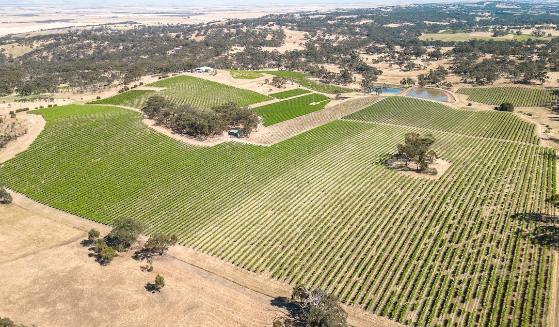 659A Spring Gully Road, Clare, SA, 5453 - Image 8