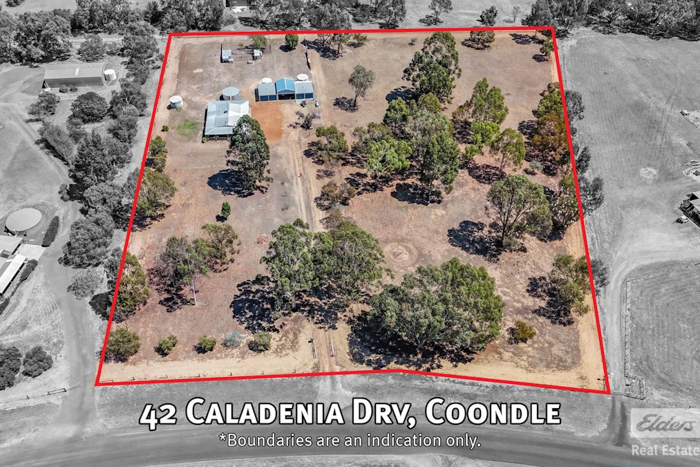 42 Caladenia Drive, Coondle, WA, 6566 - Image 5