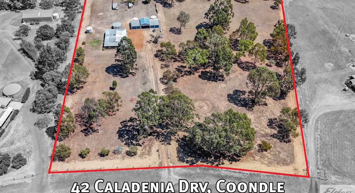 42 Caladenia Drive, Coondle, WA, 6566 - Image 5