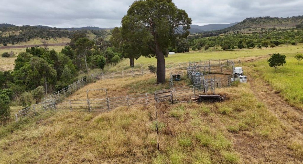 72 Acres , Bell, QLD, 4408 - Image 12
