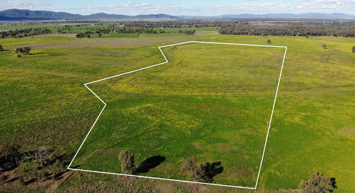 236 Kelvin Road, Gunnedah, NSW, 2380 - Image 1