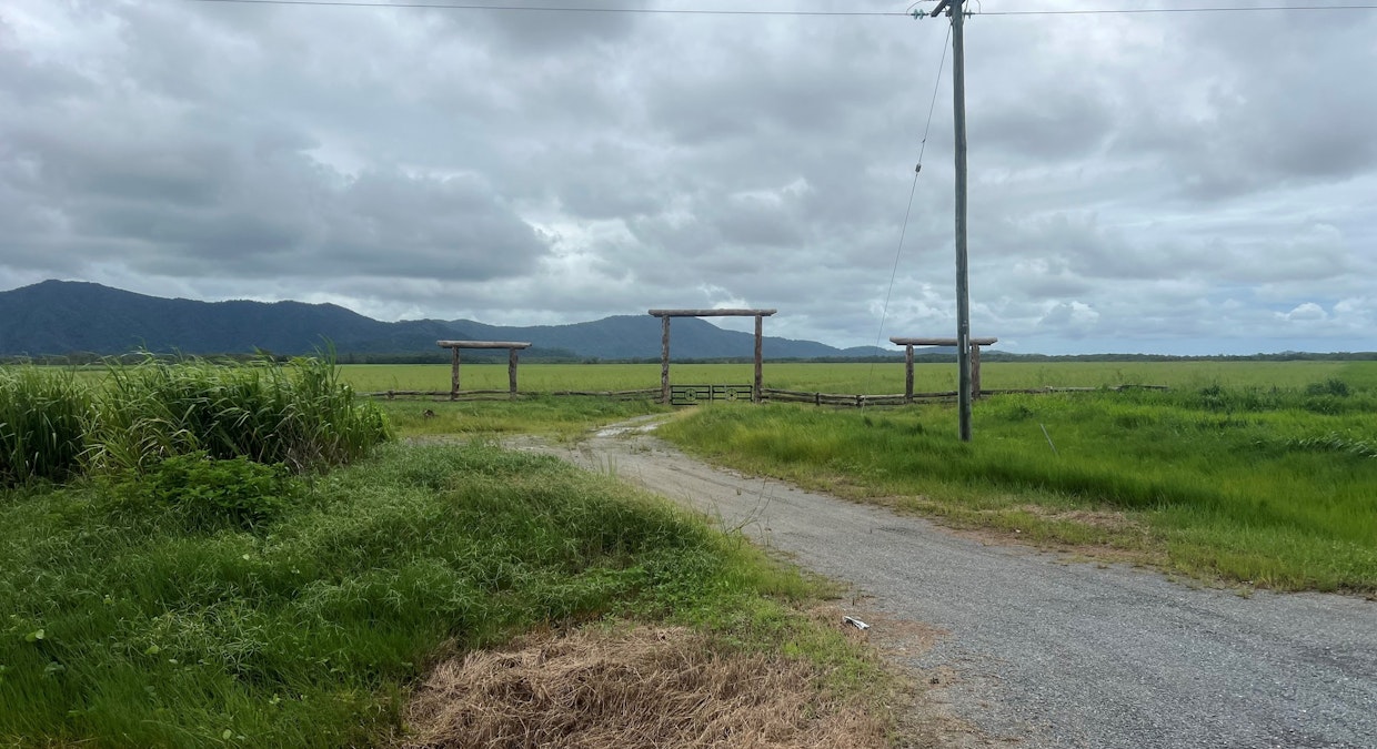 6 Cape Tribulation Road, Lower Daintree, QLD, 4873 - Image 7