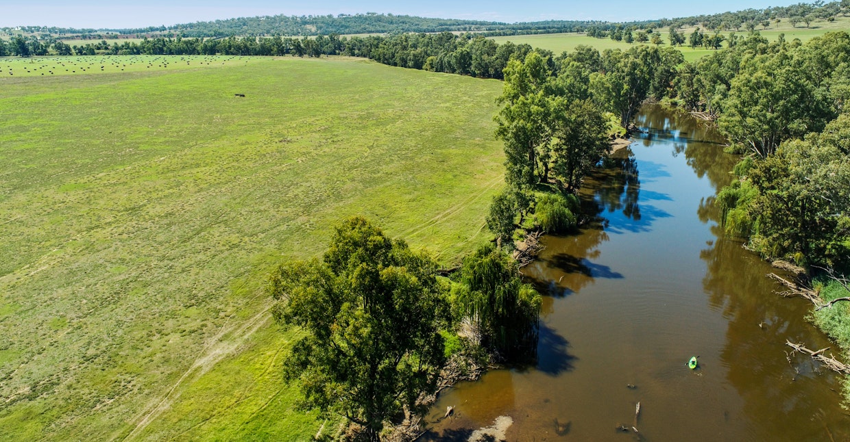 Maybrook 648 River Road, Geurie, NSW, 2818 - Image 31