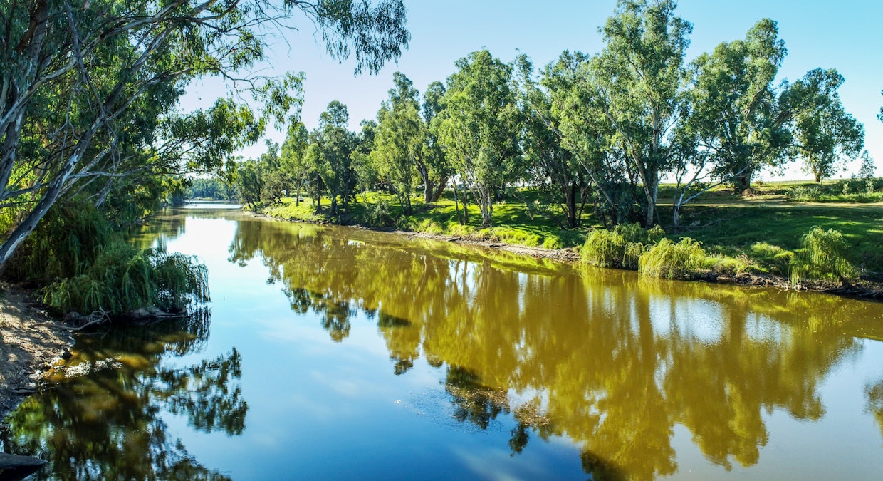 Maybrook 648 River Road, Geurie, NSW, 2818 - Image 32