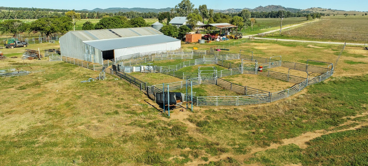 Maybrook 648 River Road, Geurie, NSW, 2818 - Image 24