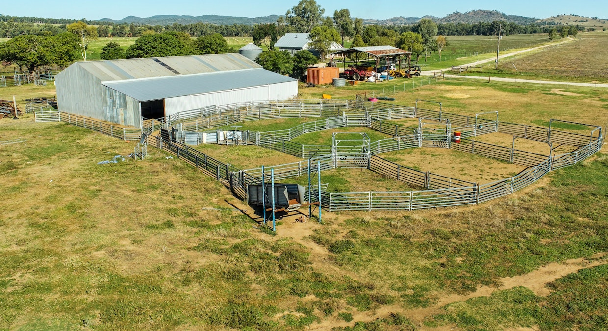 Maybrook 648 River Road, Geurie, NSW, 2818 - Image 24