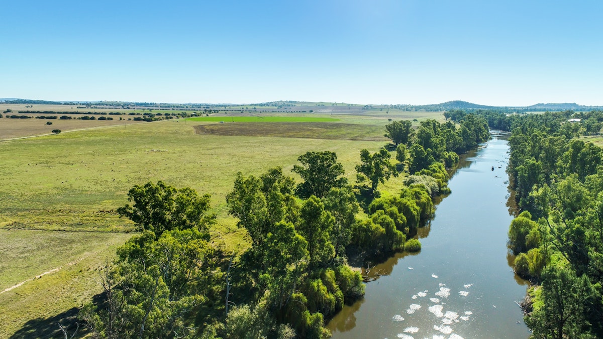 Maybrook 648 River Road, Geurie, NSW, 2818 - Image 3