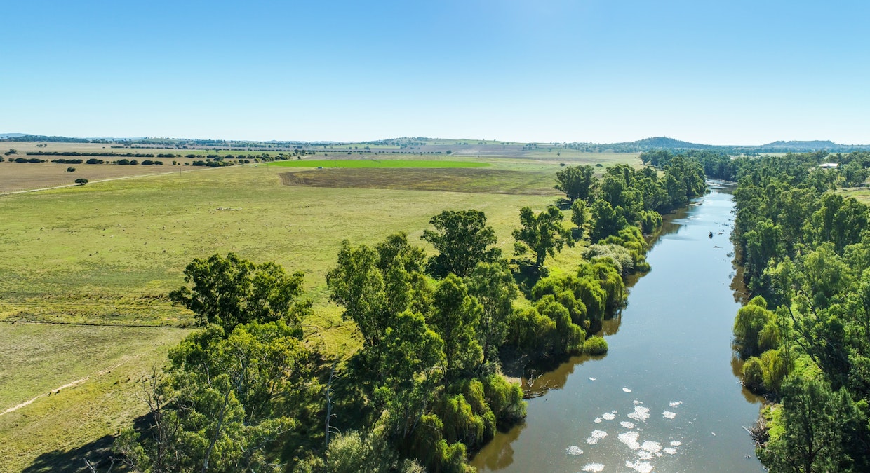 Maybrook 648 River Road, Geurie, NSW, 2818 - Image 3