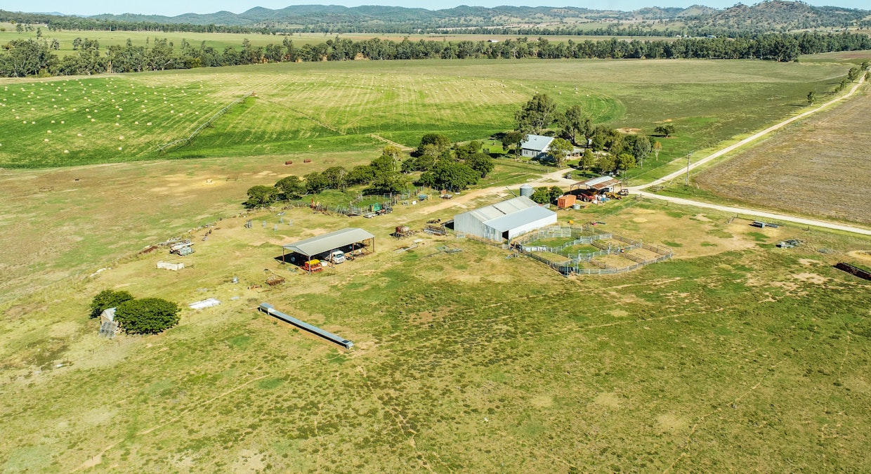 Maybrook 648 River Road, Geurie, NSW, 2818 - Image 21
