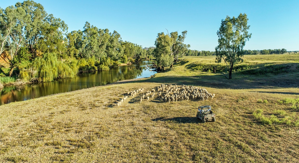 Maybrook 648 River Road, Geurie, NSW, 2818 - Image 4