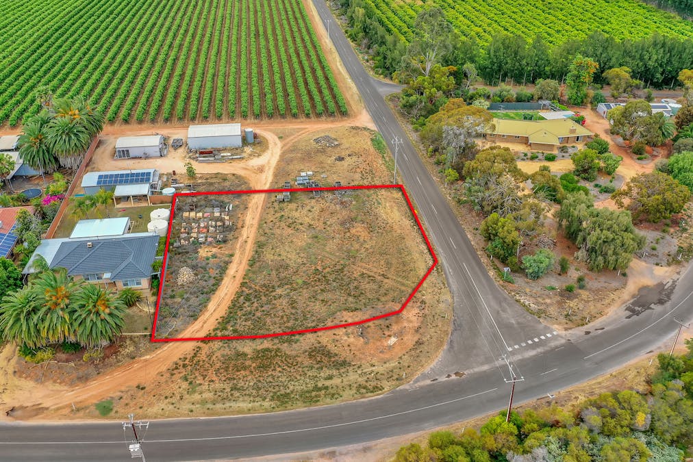 Lot 9 Virgo Road, Golden Heights, SA, 5322 - Image 3