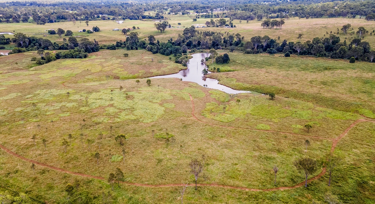 South Maclean, QLD, 4280 - Image 10